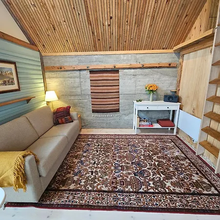 Sigurd's Tiny House