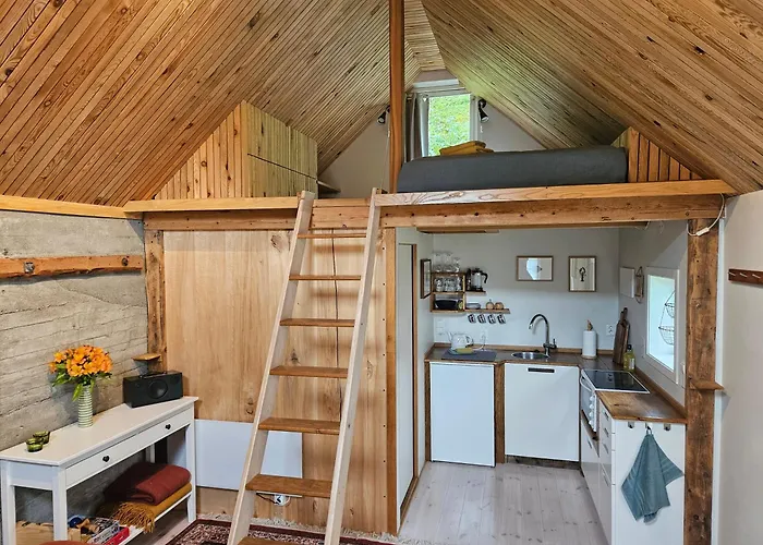 Sigurd's Tiny House *