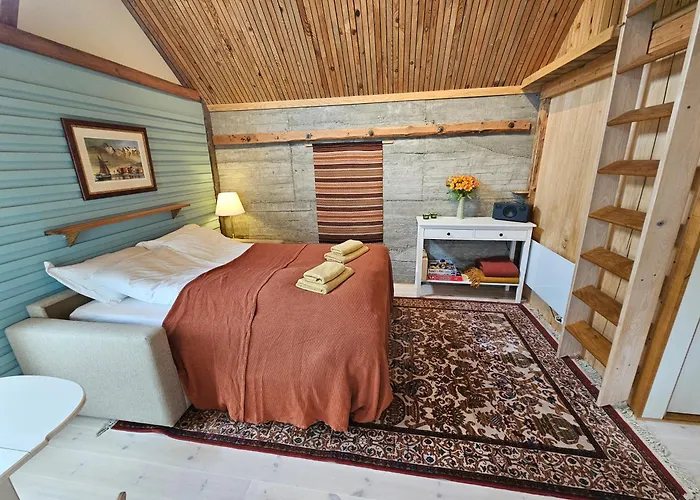 Sigurd's Tiny House *